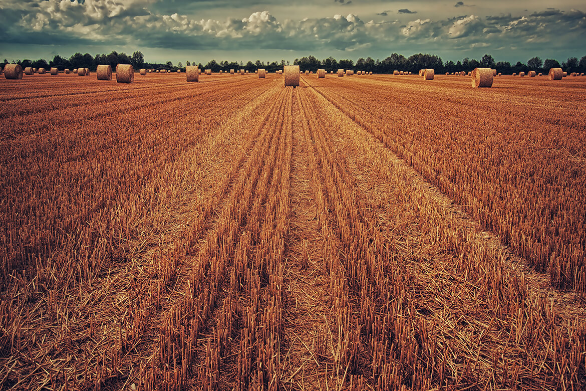 Agriculture electricians, Leicestershire